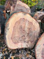 Grote schijven beuk: 80/90 diameter - 15/20 dik - €60/stuk, Doe-het-zelf en Bouw, Hout en Planken, Ophalen