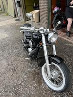 Kawasaki vn800, Motoren, 2 cilinders, 805 cc, Chopper, Particulier