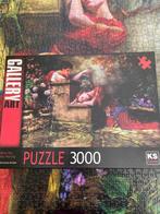 Puzzel 3000 stukjes, Hobby en Vrije tijd, Ophalen of Verzenden, Legpuzzel, Meer dan 1500 stukjes, Zo goed als nieuw
