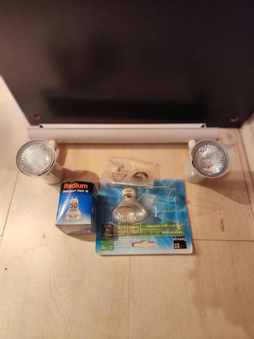 Halogeenspot beschikbaar voor biedingen