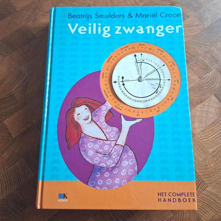 Mariel Croon - Veilig zwanger, Boeken, Zwangerschap en Opvoeding, Zo goed als nieuw, Ophalen