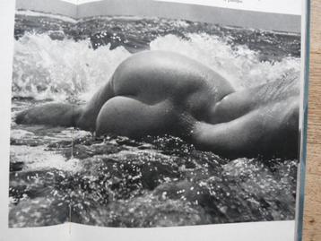 Naakte esthetiek in de wereld beschikbaar voor biedingen