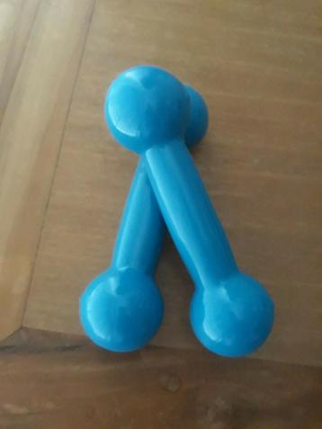 Sport, fitness, Poids de 1 kg (x2) beschikbaar voor biedingen