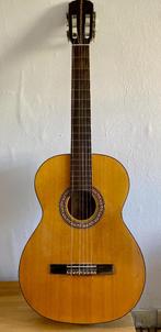 Guitare classique Avora Dolores, Musique & Instruments, Enlèvement, Utilisé, Guitare classique ou espagnole