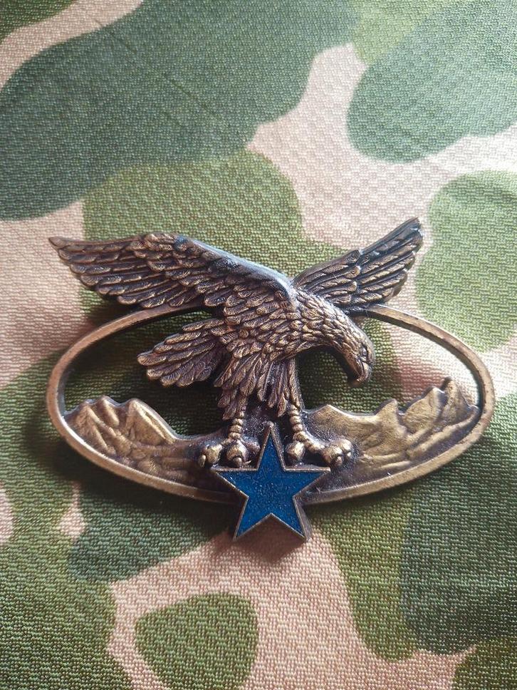 Mountain Troops Certificate (BQTM), lees de aankondiging, Verzamelen, Militaria | Algemeen, Landmacht, Embleem of Badge