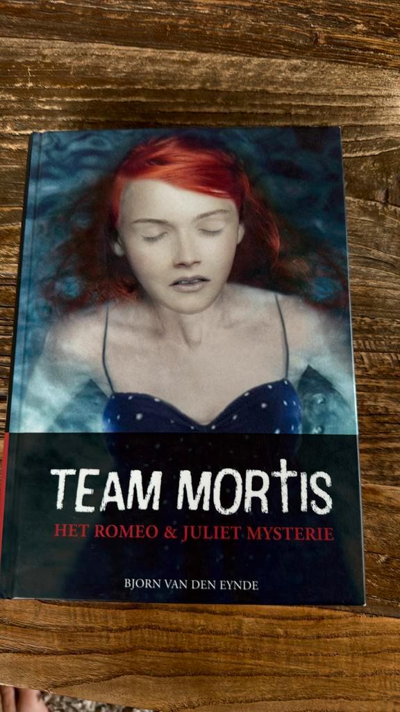 Bjorn van den Eynde - Het Romeo & Juliet mystery, Boeken, Kinderboeken | Jeugd | 13 jaar en ouder, Zo goed als nieuw, Fictie, Ophalen of Verzenden