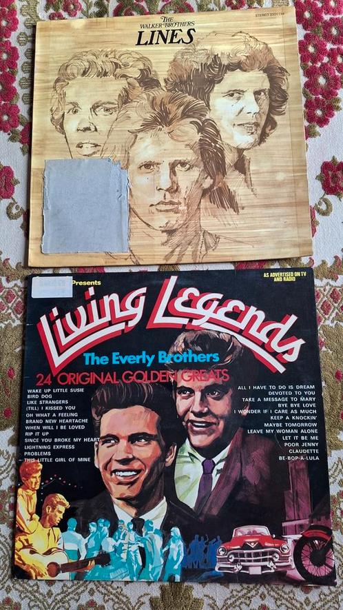 LP The Walking Brothers of The Everly Brothers, Cd's en Dvd's, Vinyl | Rock, Gebruikt, Rock-'n-Roll, 12 inch, Ophalen of Verzenden
