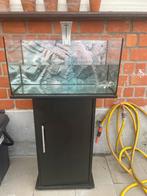 aquarium 60 lt. + aquariumkast, Dieren en Toebehoren, Ophalen