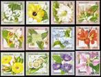 PITCAIRN 2000 Bloemen Frankeerserie van 12, Michel: 552-63,, Verzenden, Postfris, Dier of Natuur