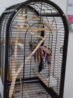 Cage pour perruche ou perroquet, Animaux & Accessoires, Oiseaux | Cages & Volières, Utilisé, Enlèvement ou Envoi, Métal, Volière