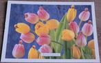 Postkaart: Anne Geddes: Tulips, Ophalen of Verzenden, 1980 tot heden, Ongelopen, Kinderen