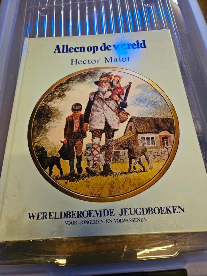 Alleen op de wereld" van de schrijver Hector Malot., Antiek en Kunst, Antiek | Boeken en Manuscripten, Ophalen