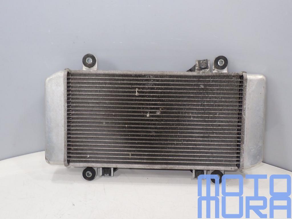 Radiateur voor de Kawasaki Ninja 250 2008 - 2012 ZX250 ZX 25, Gebruikt, -, -, Ophalen of Verzenden