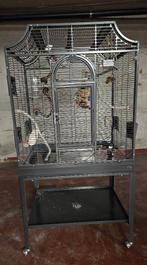 VOGELKOOI MONTANA MADEIRA II ANTIEK, Dieren en Toebehoren, Ophalen, Zo goed als nieuw, Metaal, Vogelkooi