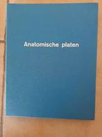 Anatomische platen, Ophalen of Verzenden, Gelezen, Natuurwetenschap