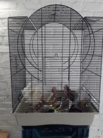 Cage, Enlèvement ou Envoi, Utilisé, Métal, Cage à oiseaux