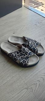 Tongs Gabor, Vêtements | Hommes, Chaussures, Enlèvement ou Envoi, Chaussons