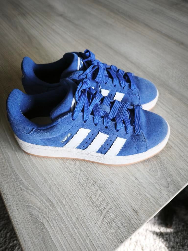 Schoenen campus Adidas, Kleding | Heren, Schoenen, Ophalen