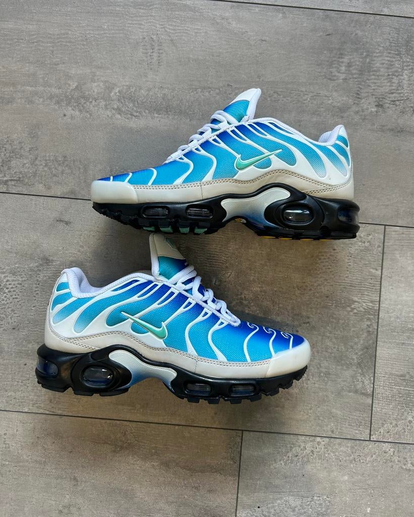 Nike TN One Block Down, Vêtements | Hommes, Chaussures, Neuf, Autres couleurs, Enlèvement, Baskets