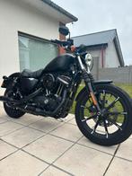 Harley Davidson 883 2020 zeer lage km!!!, Motoren, Motoren | Harley-Davidson, Particulier