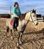 Prachtige 6-jarige Spaanse merrie, Dieren en Toebehoren, Paarden, Merrie, Minder dan 160 cm, 3 tot 6 jaar, Recreatiepaard