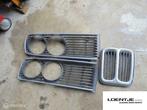 Grill met nieren bmw e12 518 520 525 528 etc, Auto-onderdelen, Carrosserie, Gebruikt, Ophalen of Verzenden, BMW, BMW