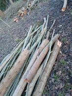 Hout te koop (plaats Oosterzele/Scheldewindeke) knotwilg, Ophalen, Takken