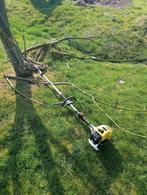 Taille haie/ élagueuse sur perche, Enlèvement