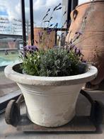 Terracotta groot, Ophalen, Gebruikt, X, X