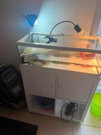 Aquarium, Animaux & Accessoires, Enlèvement, Utilisé