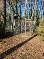 Buitenren honden en katten, Dieren en Toebehoren, Ophalen, Gebruikt