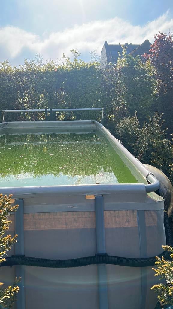 Groot Intex zwembad met alle toebehoren 737x366x132 cm, Jardin & Terrasse, Piscines, 300 cm ou plus, Enlèvement, Utilisé, Rectangulaire