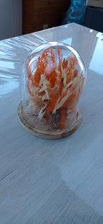 Decoratieve bel, Ophalen of Verzenden, Nieuw