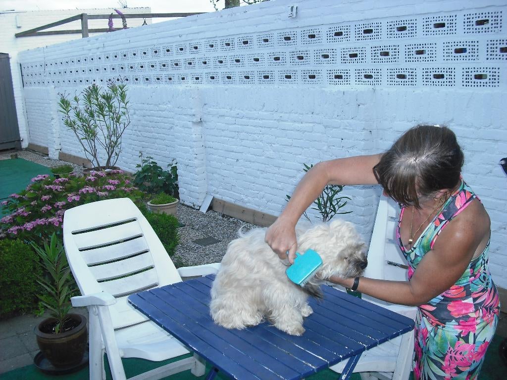 vrouw 60 zoekt bijverdienste