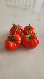De nombreux types de graines de tomates BIO (10 pour 1 euro), Enlèvement ou Envoi