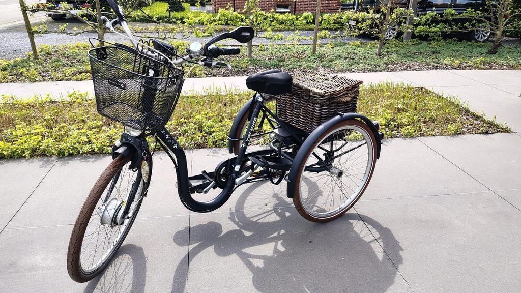 Elektrische driewieler lage opstap te Oosteeklo, Ophalen