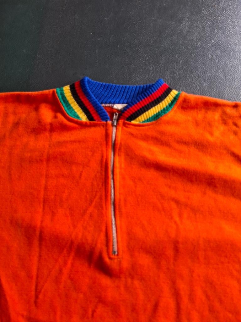 koerstruitje wielertrui regenboog retro campitello vintage, Gebruikt, Overige maten, Ophalen of Verzenden, Campitello