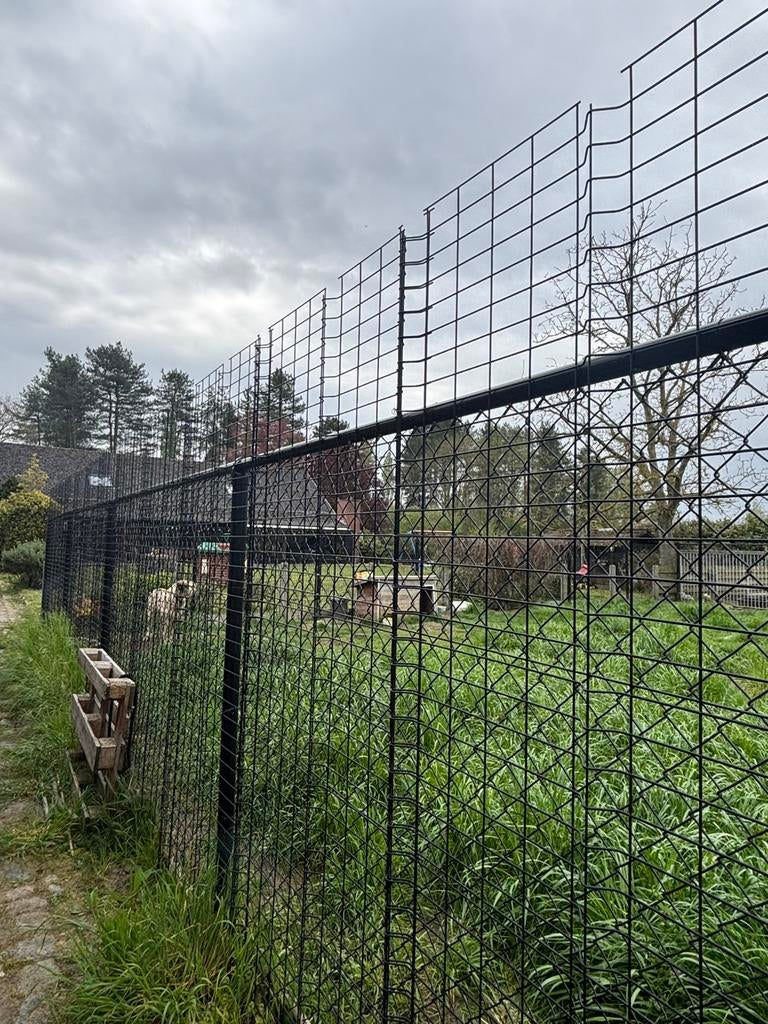 Tuinhekken met ijzeren deur te koop, Enlèvement, Comme neuf, Avec portail