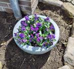 Bloembak, wasbak, fontein, vogeldrinkbak,  blauwe steen, Enlèvement, Comme neuf, Pierre, Fontaine