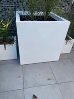 Plantenbak groot, Ophalen, Vierkant