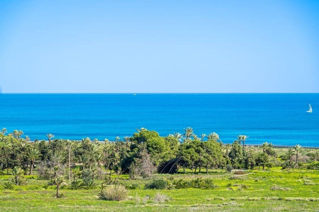 Appartement rénové en bord de mer/Punta Prima, Punta Prima., 2 pièces, Appartement, 70 m²