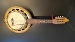 Antieke banjo merk Marius, te herstellen., Muziek en Instrumenten, Ophalen, Gebruikt