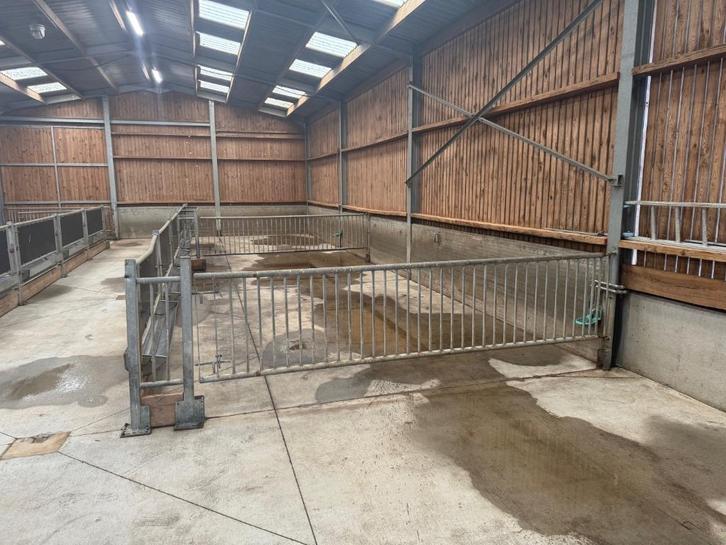 Stalinrichting schapen/geiten, Dieren en Toebehoren, Schapen, Geiten en Varkens