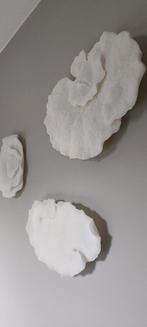 Drie decoratieve paddenstoel koralen, Enlèvement