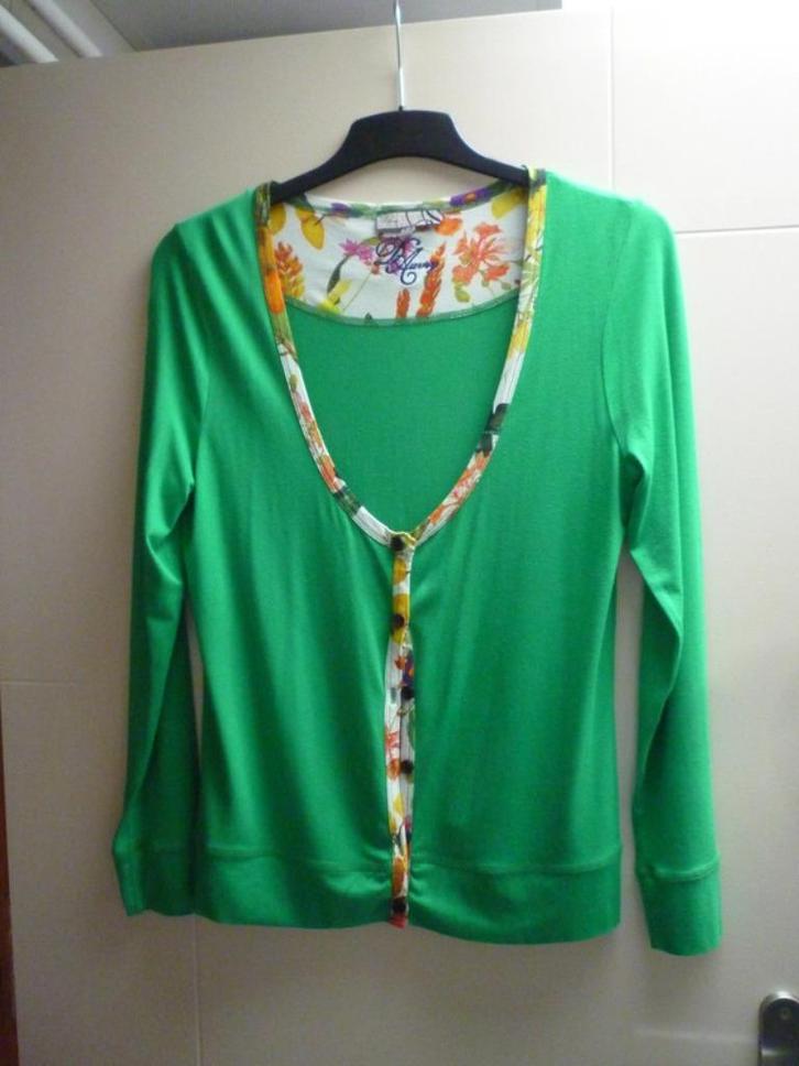 Groene cardigan met sierboord d'Auvry maat medium - NIEUW, Kleding | Dames, Truien en Vesten, Nieuw, Maat 42/44 (L), Groen, Ophalen of Verzenden