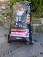 Croquettes pour chiens, Dieren en Toebehoren, Hondenvoerbakken en Drinkbakken, Ophalen, Nieuw
