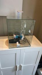 Aquarium disgn 60L, Animaux & Accessoires, Poissons | Aquariums & Accessoires, Enlèvement, Comme neuf