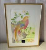 Mooi geschilderd Aquarel 'Kleurrijke Vogel' - Pel 88, Antiek en Kunst, Ophalen of Verzenden