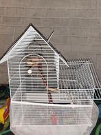 Cage avec.., Dieren en Toebehoren, Ophalen of Verzenden, Zo goed als nieuw