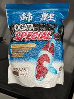 Koivoeder Ogata koi Nishikigoi, Animaux & Accessoires, Poissons | Poissons d'étang, Autres espèces